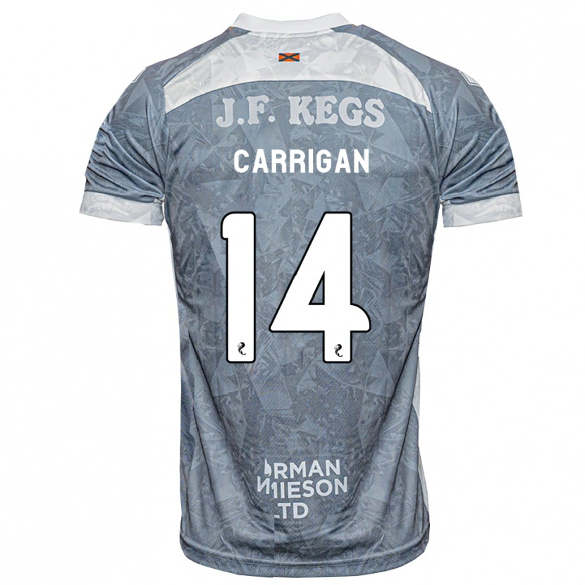 Danxen Homem Camisola Leo Carrigan #14 Cinza Ardósia Claro Alternativa 2026/27 Camisa