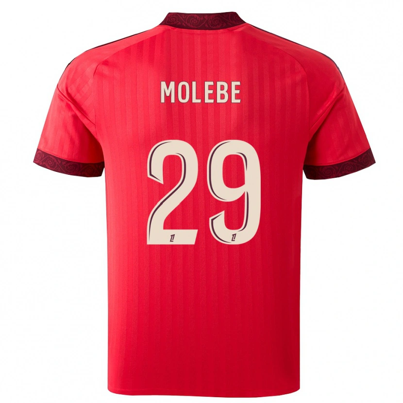 Danxen Homem Camisola Enzo Molebe #29 Borgonha Vermelho Branco Alternativa 2026/27 Camisa