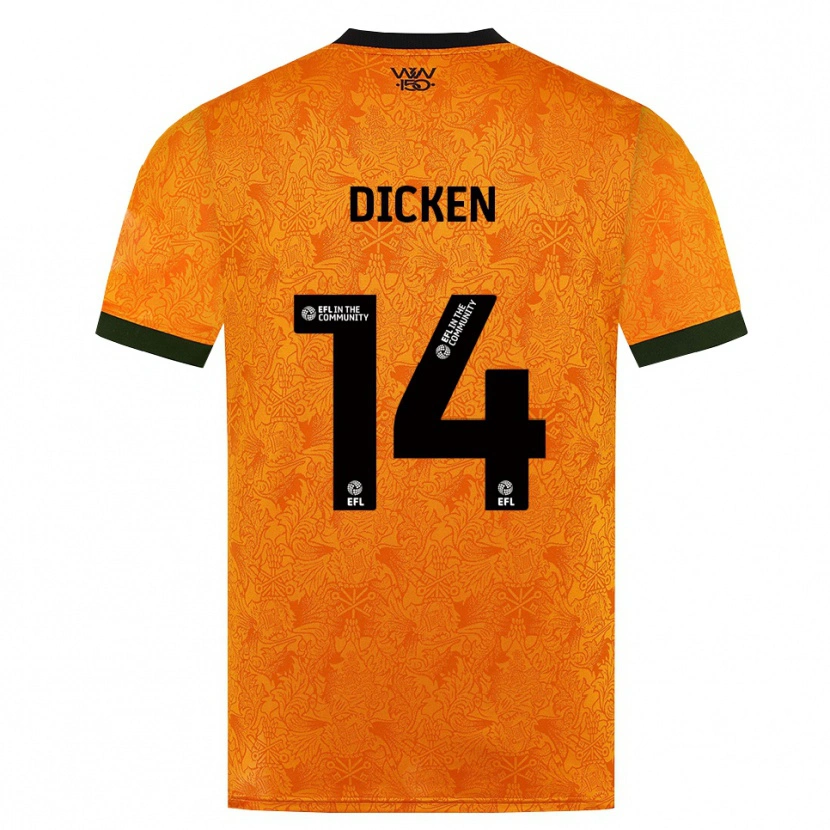 Danxen Homem Camisola Amy Dicken #14 Laranja Preto Principal 2026/27 Camisa