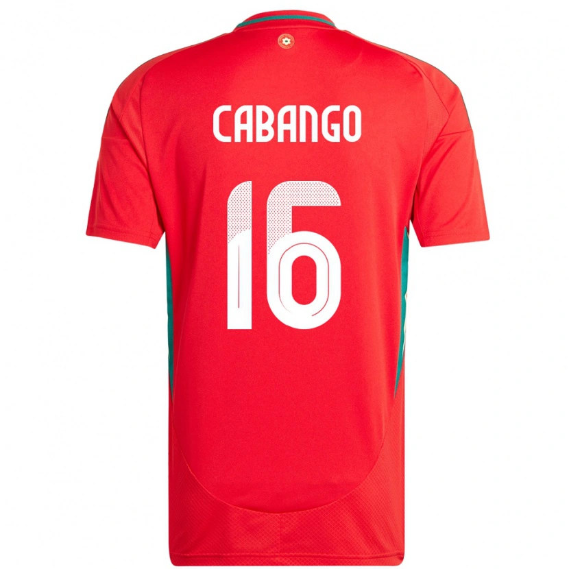 Danxen Criança Camisola País De Gales Ben Cabango #16 Vermelho Principal 24-26 Camisa