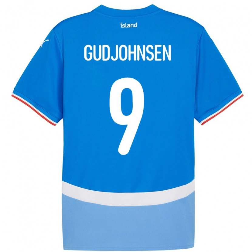 Danxen Criança Camisola Islândia Daníel Gudjohnsen #9 Azul Principal 24-26 Camisa