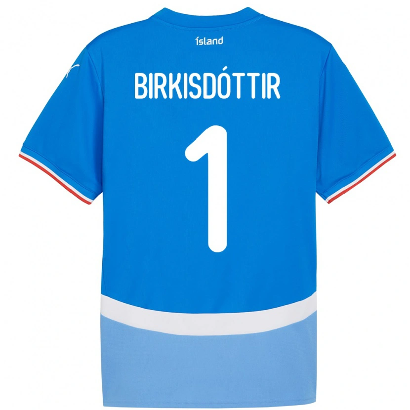 Danxen Mulher Camisola Islândia Fanney Inga Birkisdóttir #1 Azul Principal 24-26 Camisa