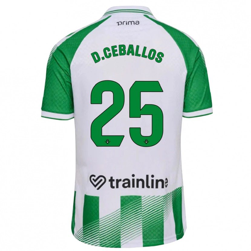 Danxen Criança Camisola Dani Ceballos #25 Verde Claro Preto Branco Principal 2026/27 Camisa