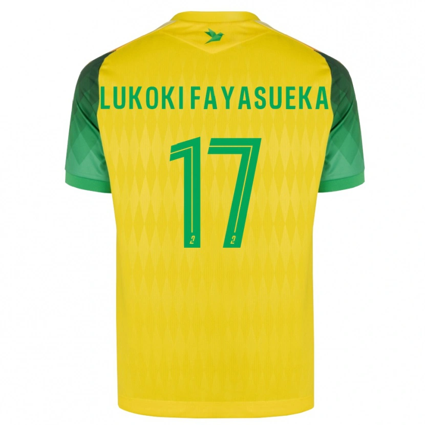 Danxen Criança Camisola Kévin Lukoki Fayasueka #17 Amarelo Verde Vermelho Principal 2026/27 Camisa
