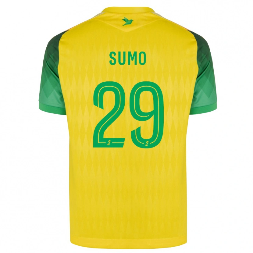Danxen Criança Camisola Eva Sumo #29 Amarelo Verde Vermelho Principal 2026/27 Camisa