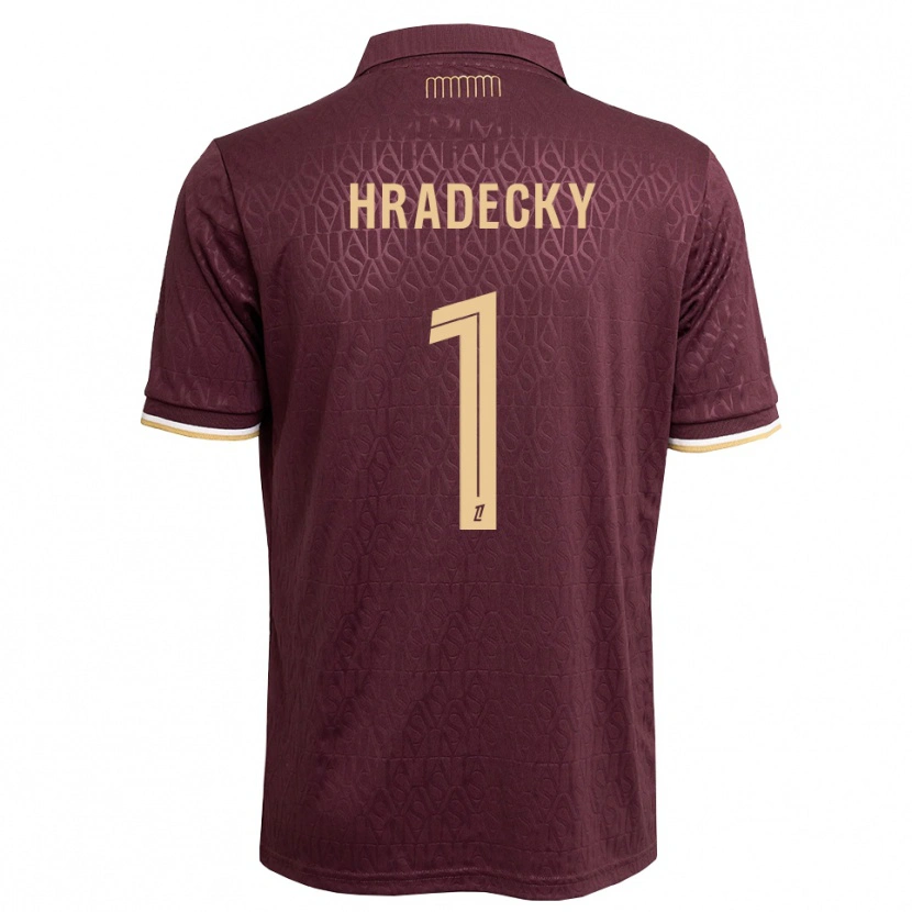 Danxen Criança Camisola Lukas Hradecky #1 Marrom Areia De Castanha Alternativa 2026/27 Camisa