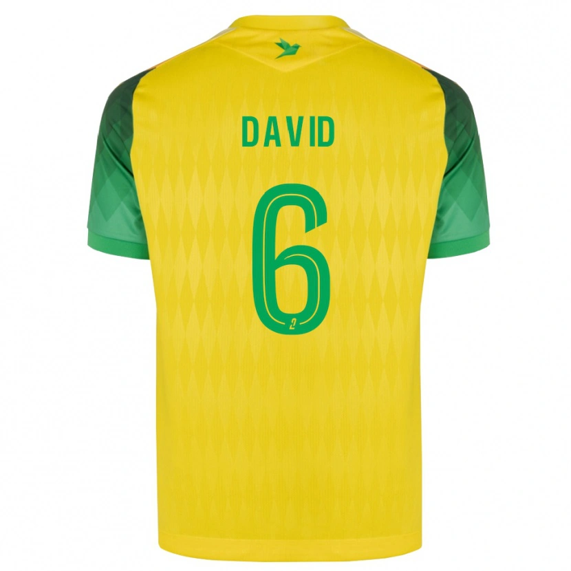 Danxen Homem Camisola Timothé David #6 Amarelo Verde Vermelho Principal 2026/27 Camisa