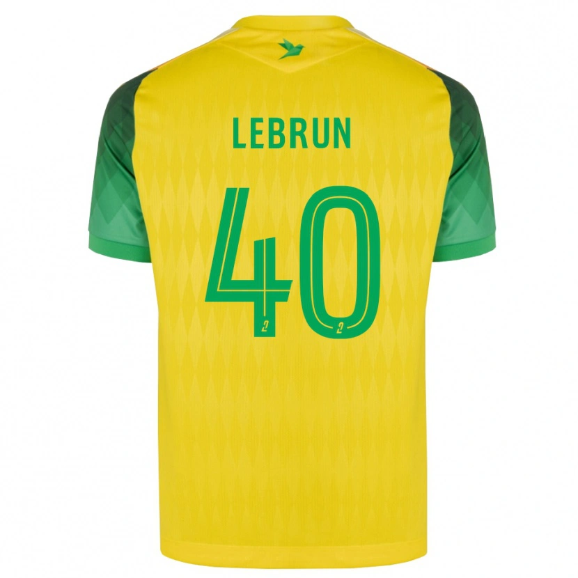 Danxen Homem Camisola Lisa Lebrun #40 Amarelo Verde Vermelho Principal 2026/27 Camisa