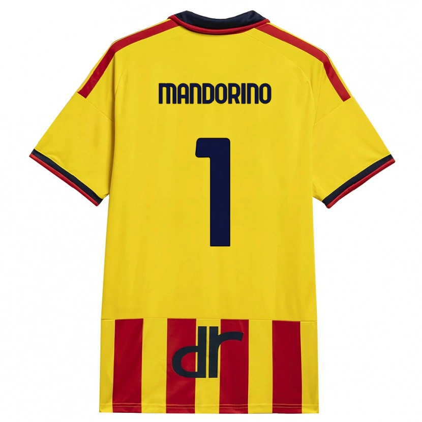 Danxen Homem Camisola Matteo Mandorino #1 Amarelo Vermelho Principal 2026/27 Camisa