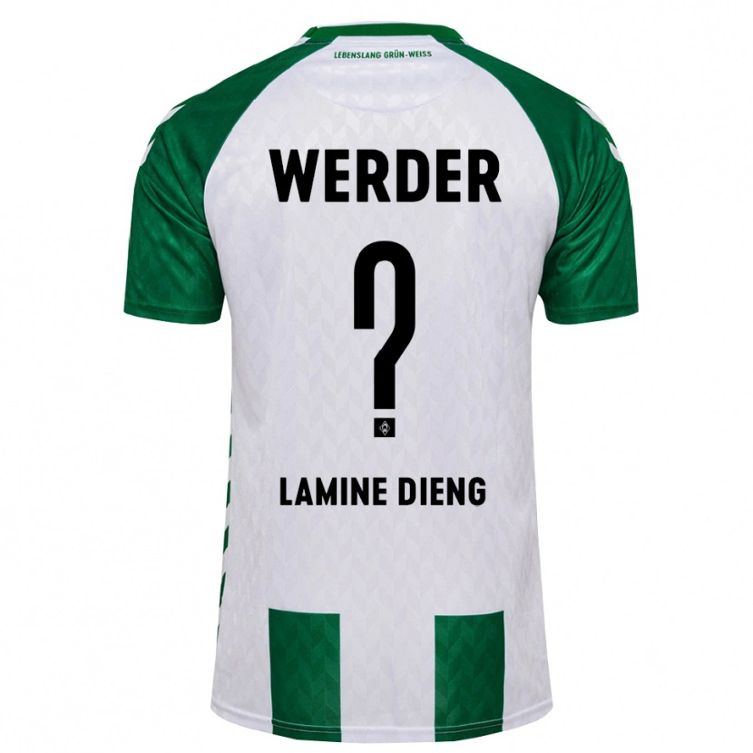 Danxen Homem Camisola Mamadou Lamine Dieng #0 Verde Branco Principal 2026/27 Camisa