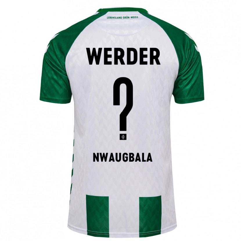 Danxen Homem Camisola Kevin Nwaugbala #0 Verde Branco Principal 2026/27 Camisa