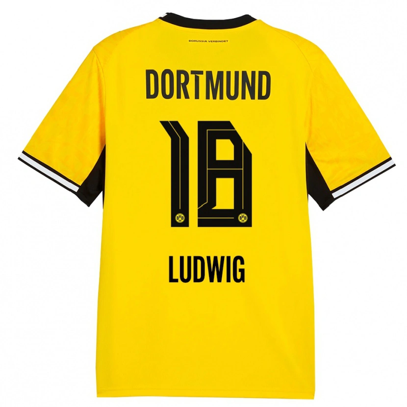 Danxen Homem Camisola Michel Ludwig #18 Amarelo Preto Branco Principal 2026/27 Camisa