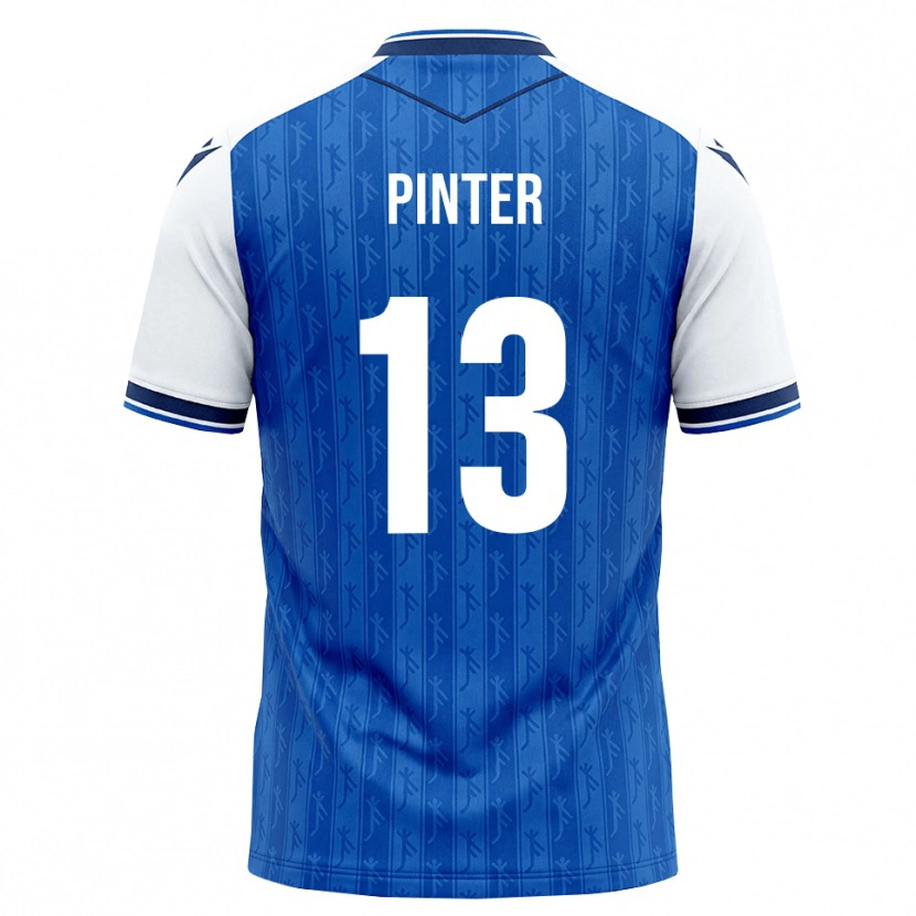 Danxen Homem Camisola Valentein Pinter #13 Azul Real Branco Principal 2026/27 Camisa