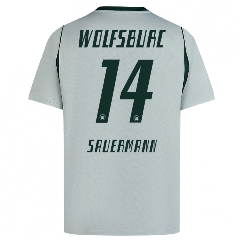 Danxen Mulher Camisola Carlos Sauermann #14 Cinza Verde Alternativa 2026/27 Camisa