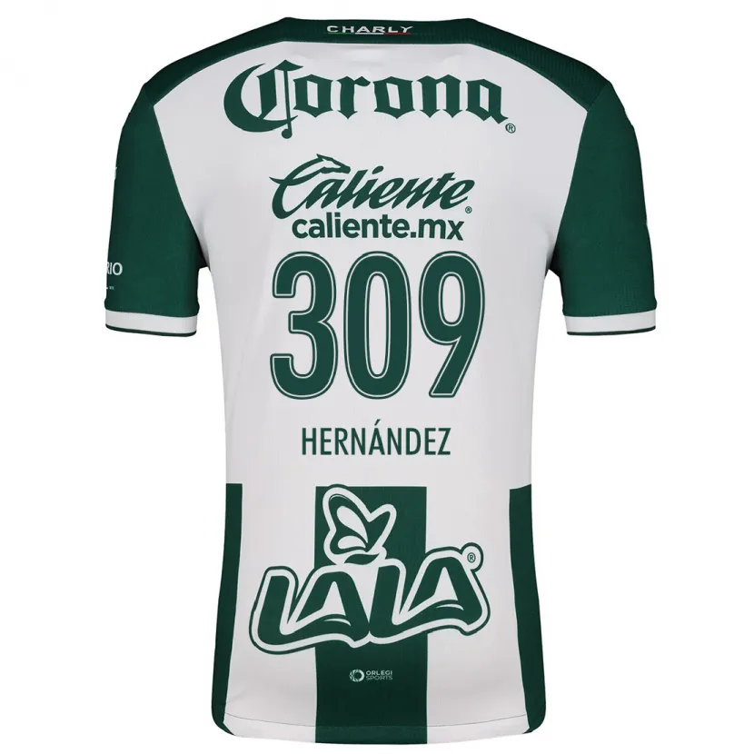 Danxen Criança Camisola Julio Hernández #309 Verde Branco Principal 2024/25 Camisa