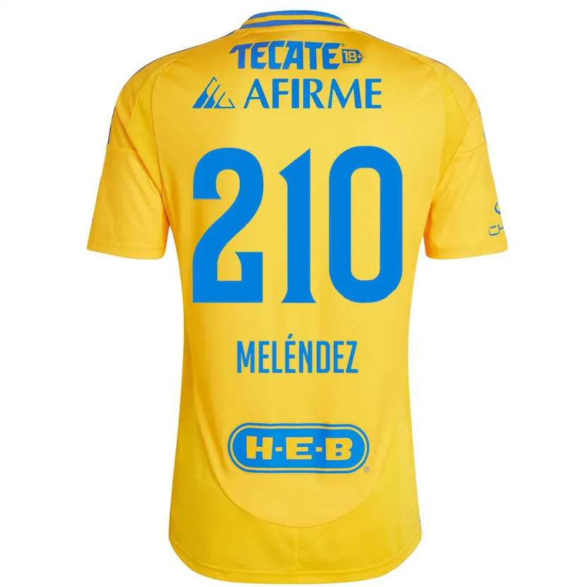 Danxen Homem Camisola Marcelo Meléndez #210 Ouro Amarelo Principal 2024/25 Camisa